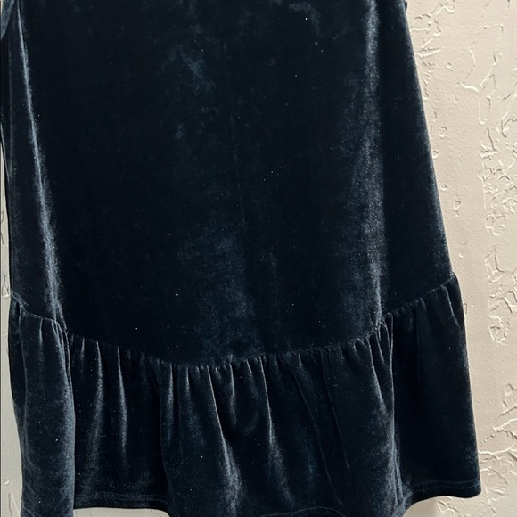 THML Green Velvet Top with Silver Embroidery.  JT - Picture 5 of 5